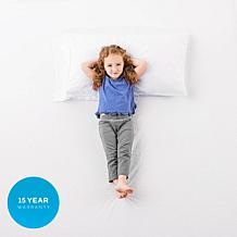 LUCID Comfort Collection Mattress Protector - Full