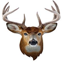 Madd Capp Photo-Realistic Animal Puzzle with Oversized Pieces