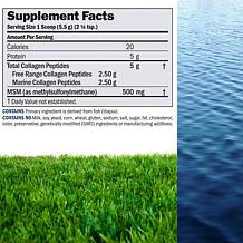 Marine and Free Range Collagen Peptides with MSM - 240 Servings