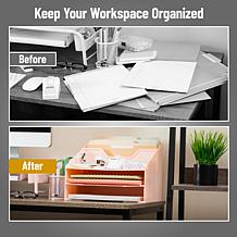 Mind Reader Plastic Desktop Organizer Vertical File Holder Pink