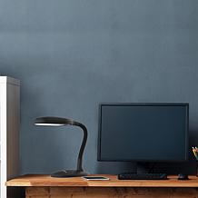 Natural Sunlight Desk Lamp by Hastings Home