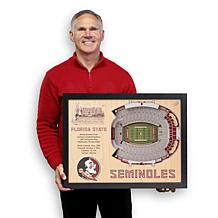 NCAA FL State Seminoles StadiumViews Wall Art - Doak Campbell Stadium 
