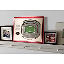 NCAA Georgia Bulldogs StadiumViews 3-D Wall Art - Sanford Stadium 