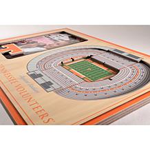 NCAA Tennessee Volunteers 3-D Stadium Views Picture Frame