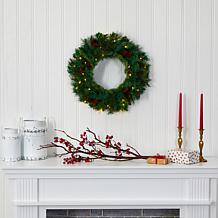Nearly Natural 20" Pine & Pinecone Artificial Wreath w/ 35 Clear LEDs