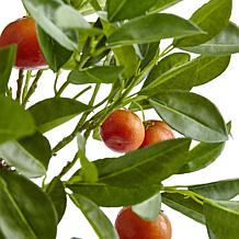 Nearly Natural 38" Potted Orange Tree