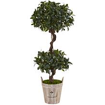 Nearly Natural 4.5 ft. Artificial Olive Tree at Tractor Supply Co.