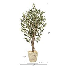 Nearly Natural 5’ Artificial Olive Tree in Country White Planter