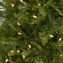 Nearly Natural 5 Ft. Wisconsin Fir Christmas Tree with 250 Lights
