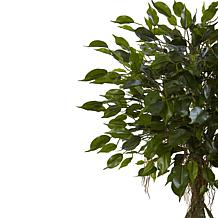 Nearly Natural 52" UV Resistant Ficus Tree with White Planter