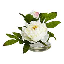 Nearly Natural Artificial 6” Peony with Glass Vase Set of 3