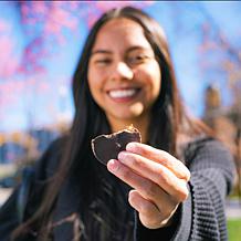 No Sugar Company 30-count Cupz - Dark Chocolate Peanut Butter