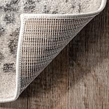 nuLOOM Arlena Vintage Traditional Area Rug - 4' x 6' Gray