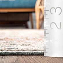 nuLOOM Lenore Vintage Floral 3' x 5' Area Rug