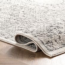 nuLOOM Minta Vintage Transitional Area Rug - 8' x 10' Grey