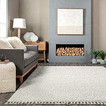 nuLOOM Neva Modern Tasseled Shag 2' 6" x 6 Area Rug