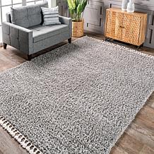 nuLOOM Neva Modern Tasseled Shag 4' x 6' Area Rug
