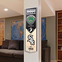Officially Licensed MLB Chicago White Sox 3D Stadium Banner
