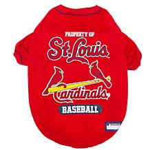 St. Louis Cardinals 20 Quart 