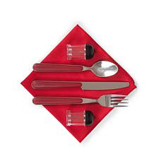 Officially Licensed MLB St. Louis Cardinals Pranzo Lunch Cooler Bag