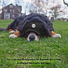 Officially Licensed NCAA Florida State University Pet Baseball Hat