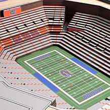 Officially Licensed NCAA Stadium Wall Art  - Florida Gators
