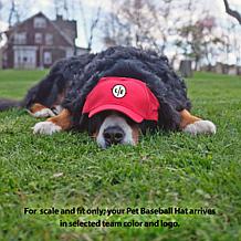 Officially Licensed NCAA University of Georgia Pet Baseball Hat