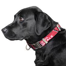 Officially Licensed NFL Arizona Cardinals Premium Pet Collar