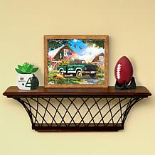 Officially Licensed NFL Sporticulture LED Lite Box