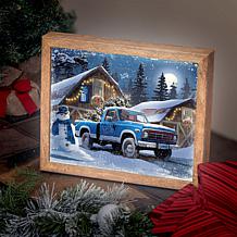 Officially Licensed NFL Sporticulture LED Lite Box