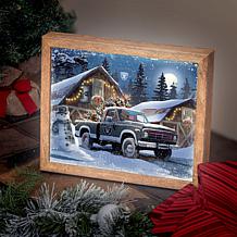 Officially Licensed NFL Sporticulture LED Lite Box