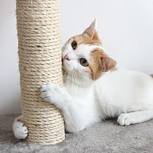 Pet Adobe Cat Scratching Post, Toys, and Play Area