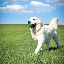 PetKORE FloTek Ball - Green Large 3.25"