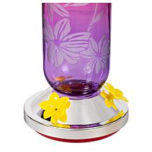 Plow and Hearth Hanging Glass Hummingbird Feeder