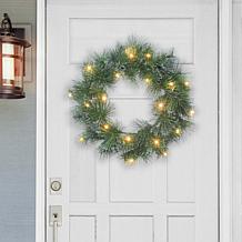 Puelo International 24 in B/O Glittery Wreath, 50 Warm white LED lit