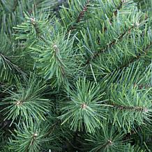 Puleo 7.5 ft. Noble Fir Unlit Artificial Christmas Tree