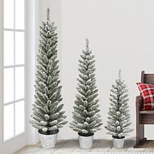 Puleo International Potted Flocked Pencil Trees in Pot 3pc Set