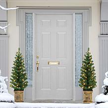 Puleo International Set of 2 3.5' Potted Pre-lit Trees 35 White LEDs