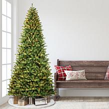 Puleo Intl. Pre-Lit 10' Berkshire Fir Artificial Christmas Tree, Green