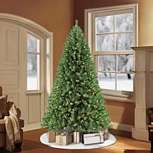 Puleo Intl. Pre-Lit 6.5' Northern Fir Artificial Christmas Tree, Green