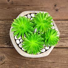 Pure Garden Glow in the Dark Solar Pathway Pebble Lights - 500-Count