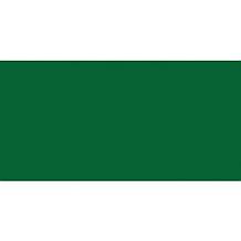 Rit Dye Liquid 8oz Dark Green