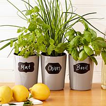 RSVP Reusable Spice Labels - Set of 30