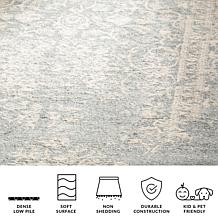Safavieh Adirondack Regina 8' x 10' Rug