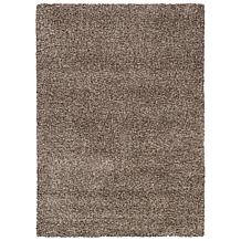 Safavieh Evolution Shag Charles 3'-11" X 6'-0" Rug