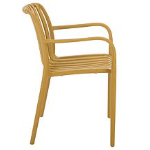 Safavieh Holly Dining Armchair 2-pack in Yellow