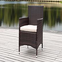 Safavieh Kendrick Set of 2 Casual Outdoor Chairs