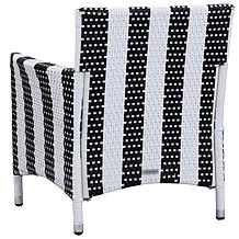 Safavieh Kendrick Set of 2 Casual Outdoor Chairs