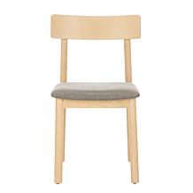 Safavieh Lizette Retro Dining Chair 2-pack