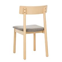 Safavieh Lizette Retro Dining Chair 2-pack